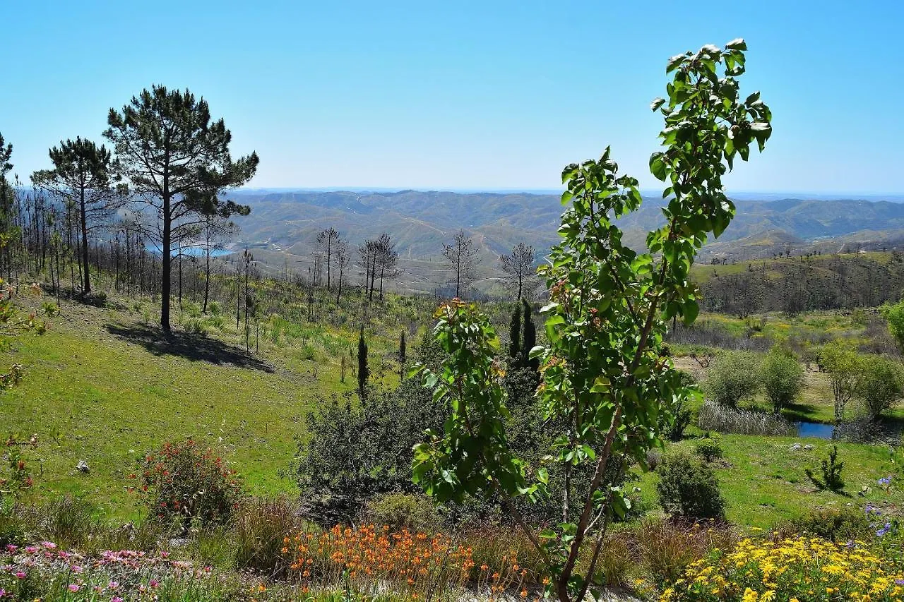 B&B Quinta O Ninho Monchique Bed & Breakfast